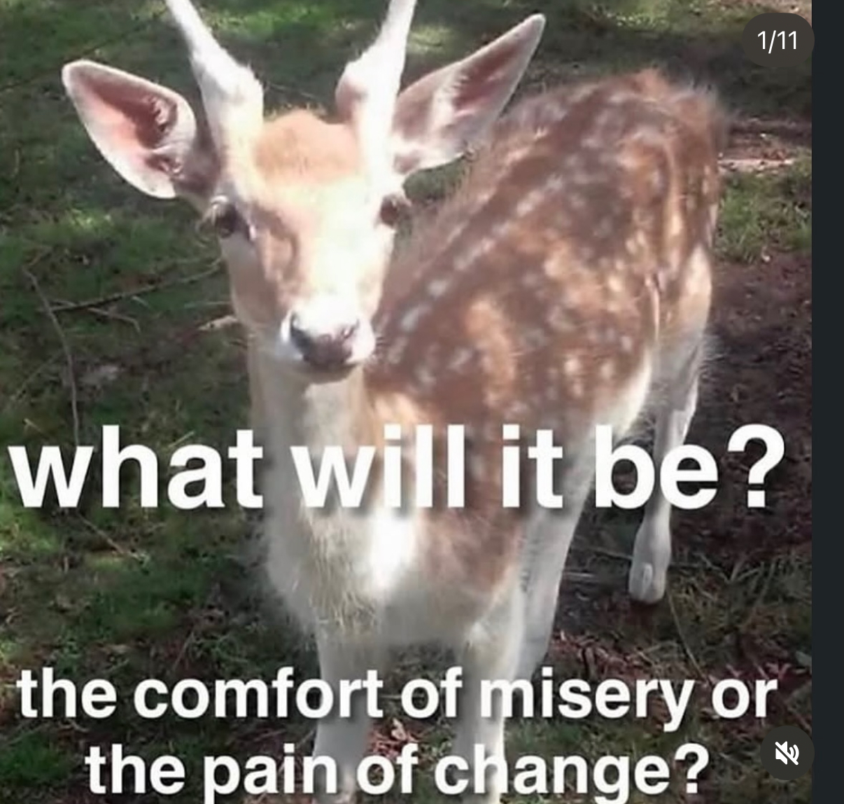 thoughts
